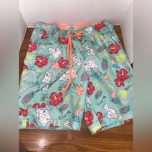 Hollister Men's Size Medium Hawaiian Island Print Design Board Shorts Swim Trunk